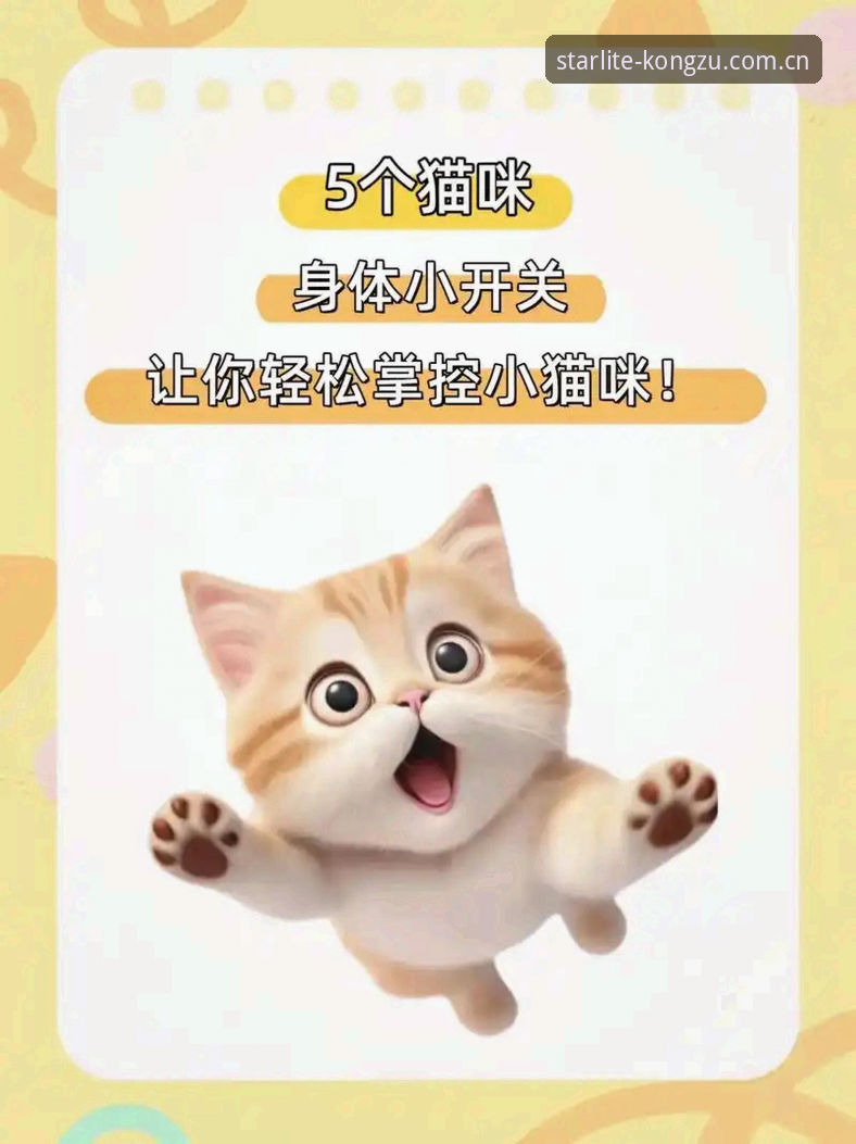 星空体育平台实用入门指南——从注册到无缝掌控的必备知识